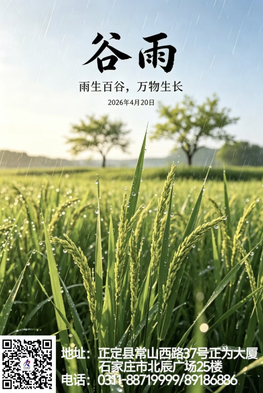33e571f090b0200c27f5da8bfd2f308b_origin(1).jpg