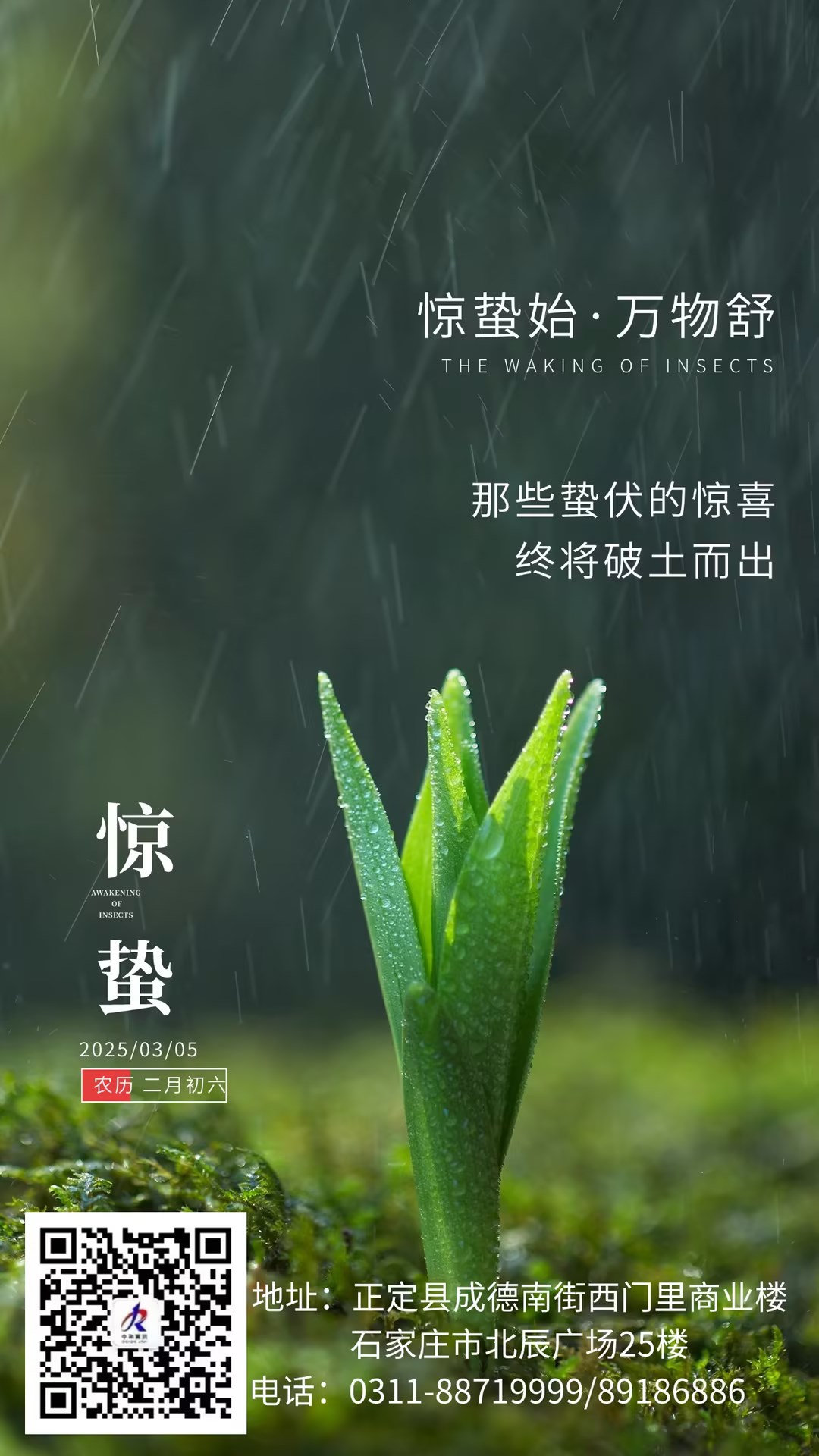eeac3c8c5168c61dffb0a58632becd4c_compress.jpg