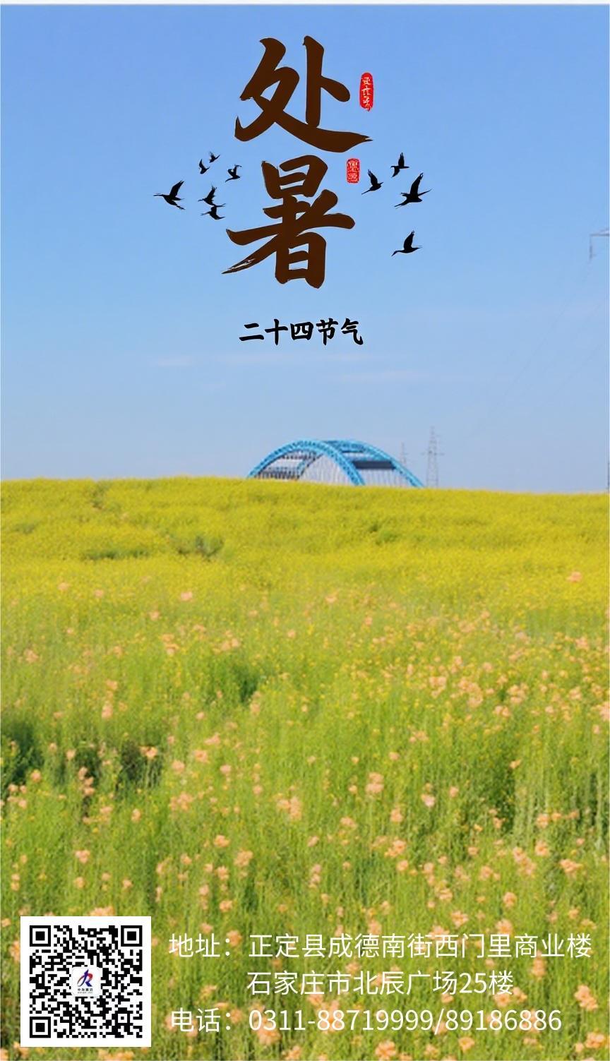 处暑照片.jpg